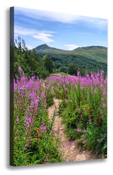 Vertikální Vertikální Foto obraz na plátně do obýváku Bieszczady ocv-44294505