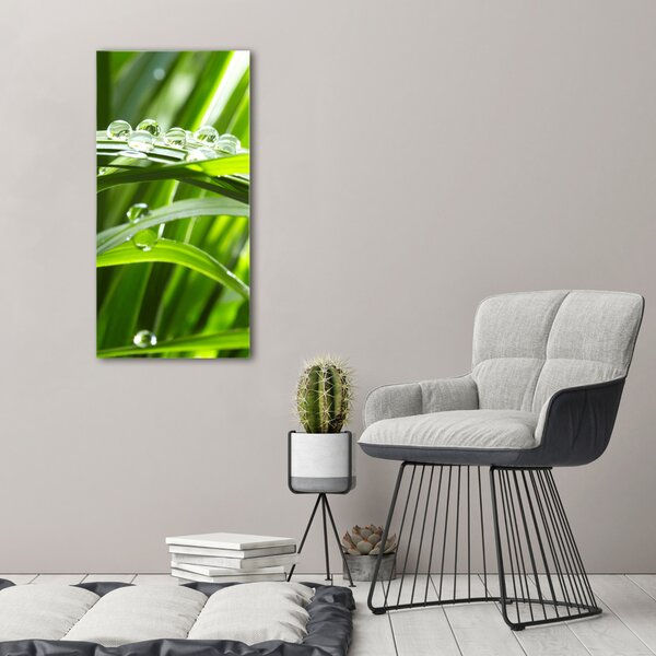 Vertikální Foto obraz canvas Stéblo trávy ocv-44303154