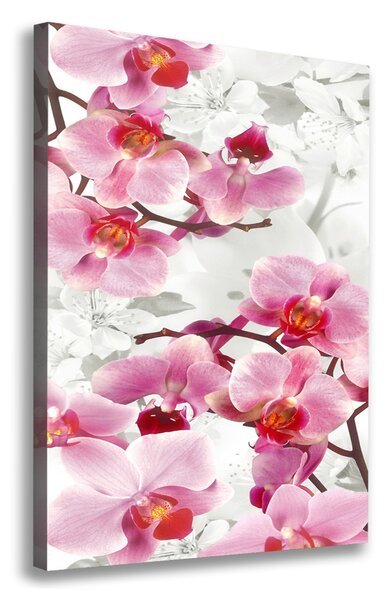 Vertikální Foto obraz na plátně Růžová orchidej ocv-44684614