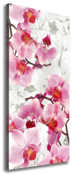 Vertikální Foto obraz na plátně Růžová orchidej ocv-44684614