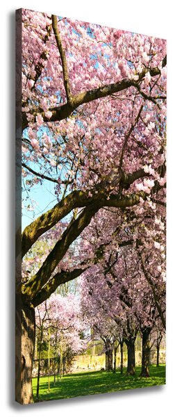 Vertikální Foto obraz canvas Višně ocv-48048781