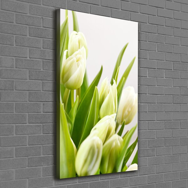 Vertikální Foto obraz na plátně Bílé tulipány ocv-48191283