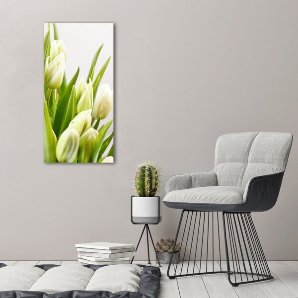 Vertikální Foto obraz na plátně Bílé tulipány ocv-48191283