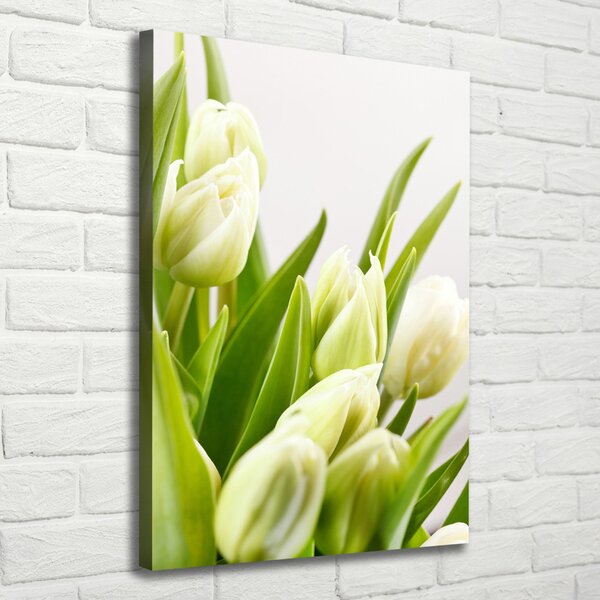 Vertikální Foto obraz na plátně Bílé tulipány ocv-48191283