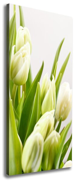 Vertikální Foto obraz na plátně Bílé tulipány ocv-48191283