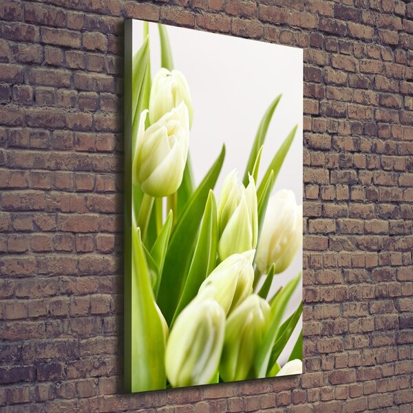 Vertikální Foto obraz na plátně Bílé tulipány ocv-48191283
