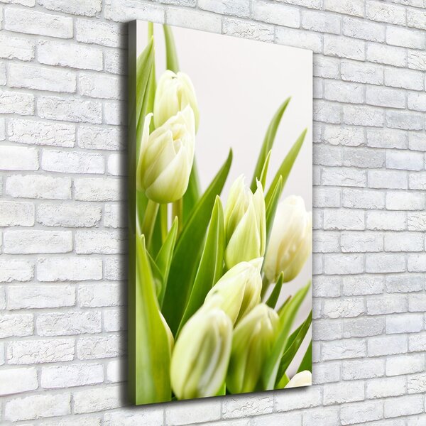 Vertikální Foto obraz na plátně Bílé tulipány ocv-48191283