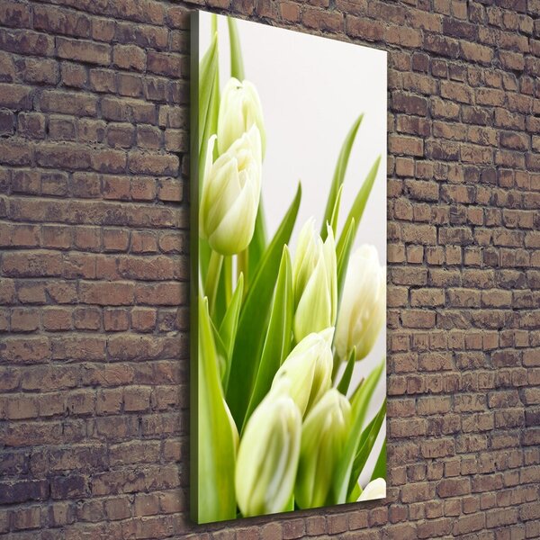 Vertikální Foto obraz na plátně Bílé tulipány ocv-48191283