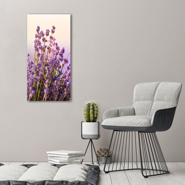 Vertikální Moderní obraz canvas na rámu Levandule ocv-48533046