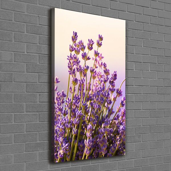 Vertikální Moderní obraz canvas na rámu Levandule ocv-48533046