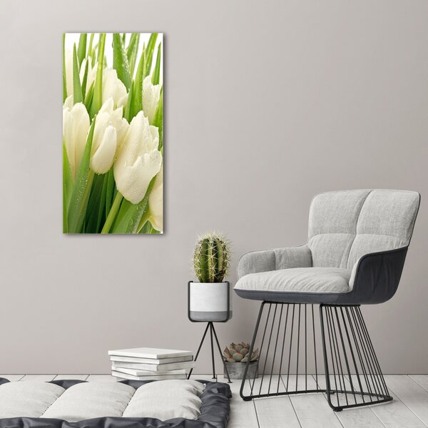 Vertikální Foto obraz na plátně Bílé tulipány ocv-49549577