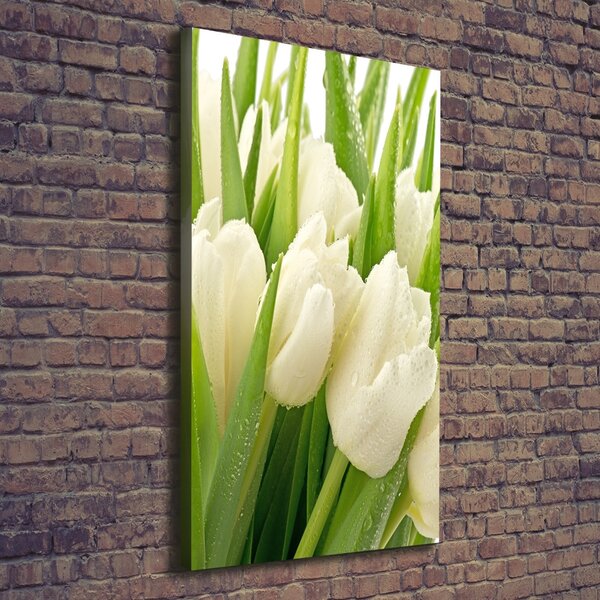 Vertikální Foto obraz na plátně Bílé tulipány ocv-49549577