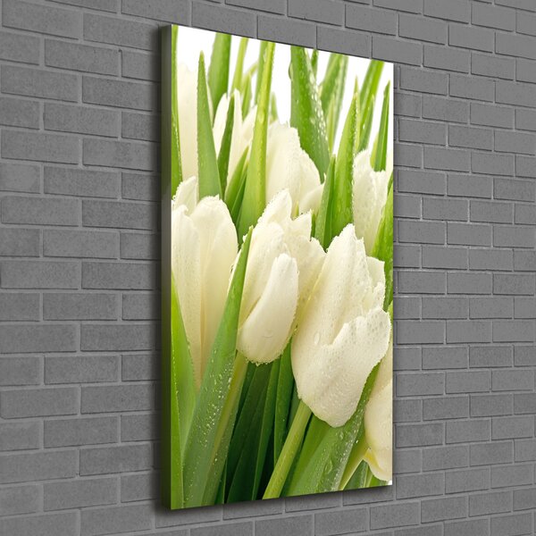 Vertikální Foto obraz na plátně Bílé tulipány ocv-49549577