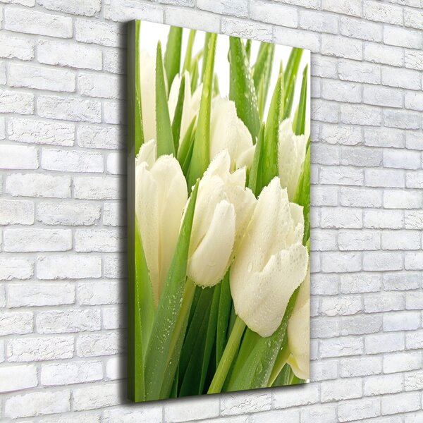 Vertikální Foto obraz na plátně Bílé tulipány ocv-49549577