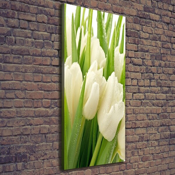 Vertikální Foto obraz na plátně Bílé tulipány ocv-49549577
