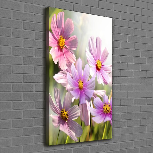 Vertikální Foto obraz canvas Polní květiny ocv-50039707