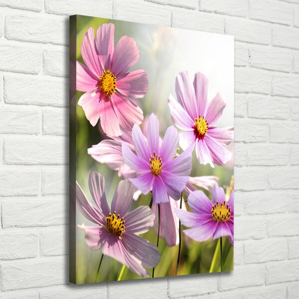 Vertikální Foto obraz canvas Polní květiny ocv-50039707