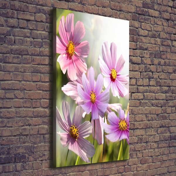 Vertikální Foto obraz canvas Polní květiny ocv-50039707