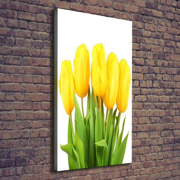 Vertikální Foto obraz na plátně Žluté tulipány ocv-50296445