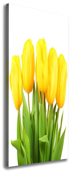 Vertikální Foto obraz na plátně Žluté tulipány ocv-50296445