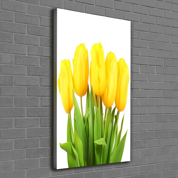 Vertikální Foto obraz na plátně Žluté tulipány ocv-50296445