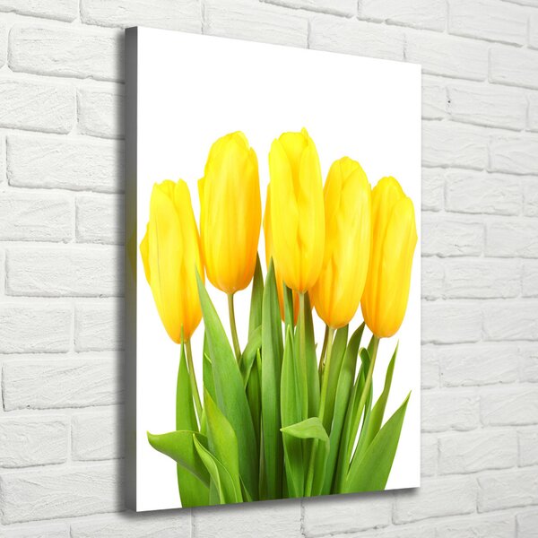 Vertikální Foto obraz na plátně Žluté tulipány ocv-50296445