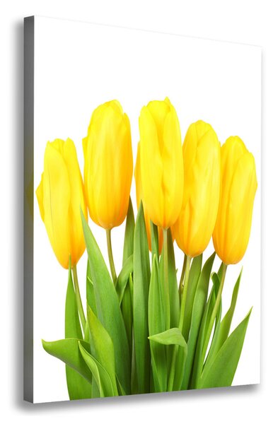 Vertikální Foto obraz na plátně Žluté tulipány ocv-50296445