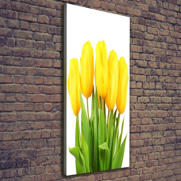Vertikální Foto obraz na plátně Žluté tulipány ocv-50296445