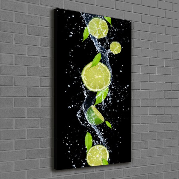 Vertikální Moderní obraz canvas na rámu Limetky ocv-51416948