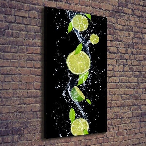 Vertikální Moderní obraz canvas na rámu Limetky ocv-51416948
