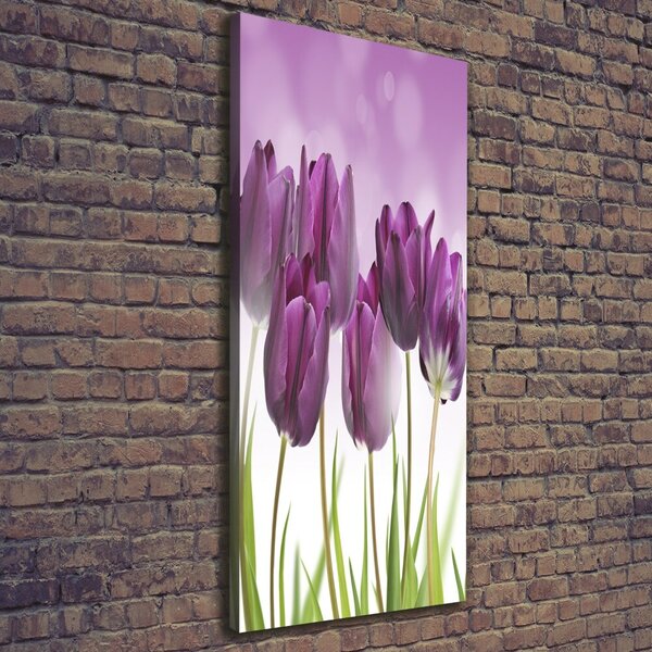 Vertikální Foto obraz na plátně Fialové tulipány ocv-52340543