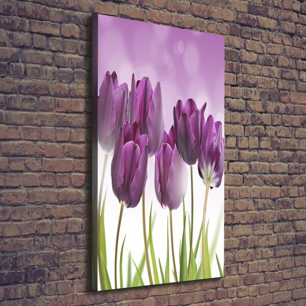 Vertikální Foto obraz na plátně Fialové tulipány ocv-52340543