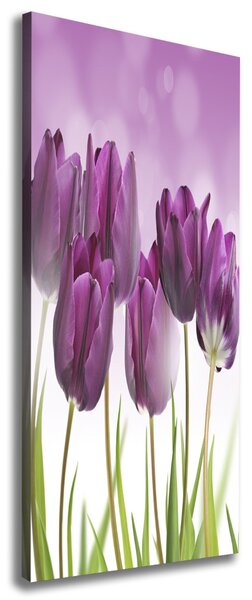 Vertikální Foto obraz na plátně Fialové tulipány ocv-52340543