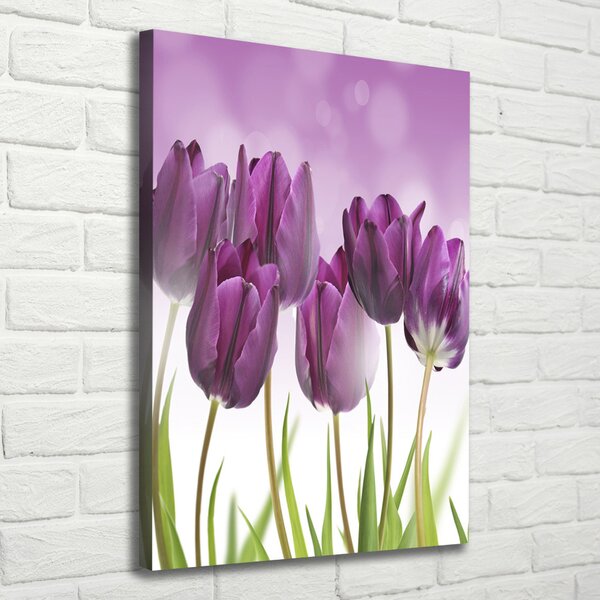 Vertikální Foto obraz na plátně Fialové tulipány ocv-52340543