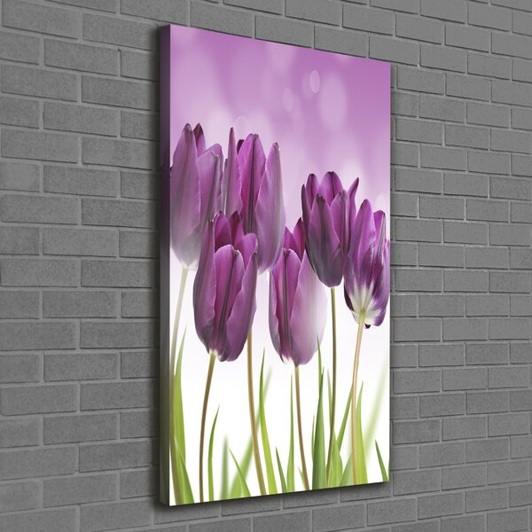 Vertikální Foto obraz na plátně Fialové tulipány ocv-52340543