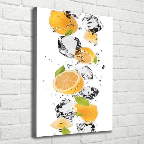 Vertikální Foto obraz canvas Citrony a voda ocv-52519204
