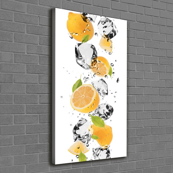 Vertikální Foto obraz canvas Citrony a voda ocv-52519204