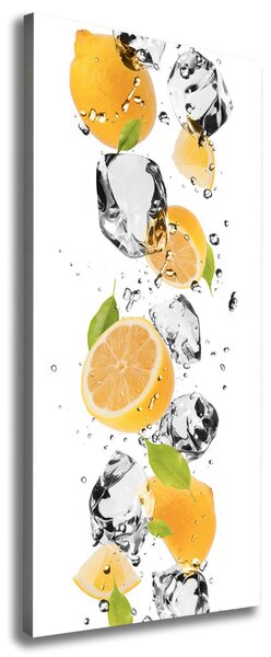 Vertikální Foto obraz canvas Citrony a voda ocv-52519204