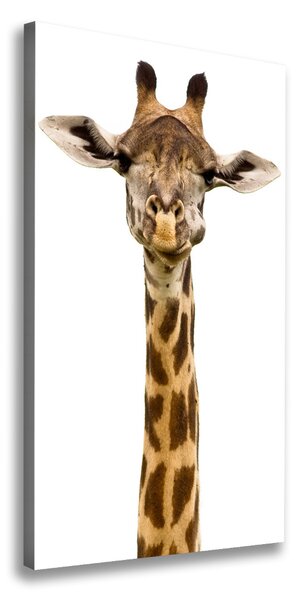 Vertikální Moderní fotoobraz canvas na rámu Žirafa ocv-53003309