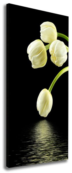 Vertikální Foto obraz na plátně Bílé tulipány ocv-53318527