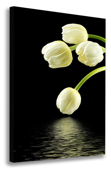 Vertikální Foto obraz na plátně Bílé tulipány ocv-53318527