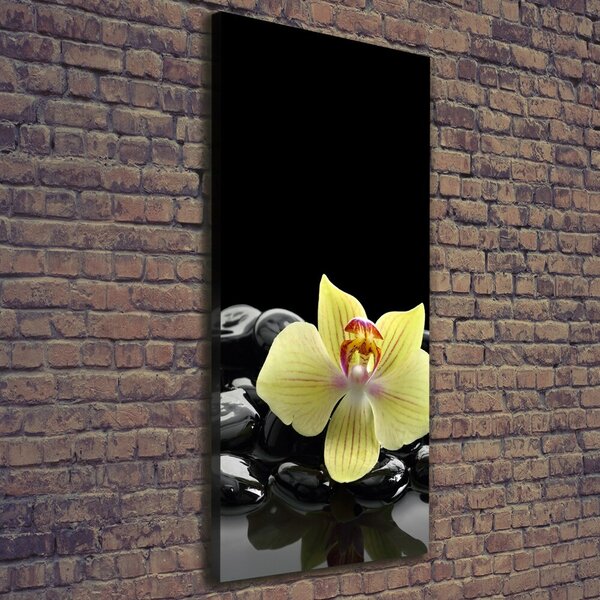 Vertikální Foto obraz na plátně Orchidej a kameny ocv-53476359