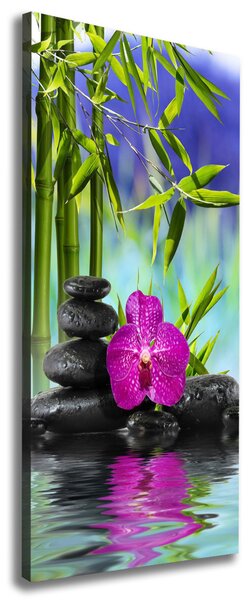 Vertikální Foto obraz na plátně Orchidej a bambus ocv-54557063