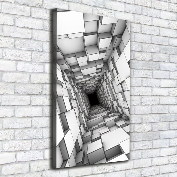 Vertikální Foto obraz na plátně Tunel z krychlí ocv-55216784