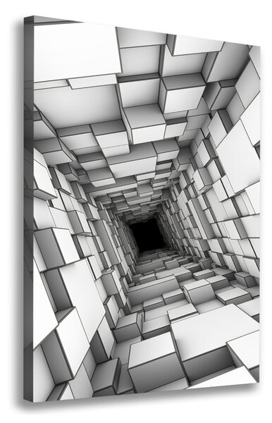 Vertikální Foto obraz na plátně Tunel z krychlí ocv-55216784