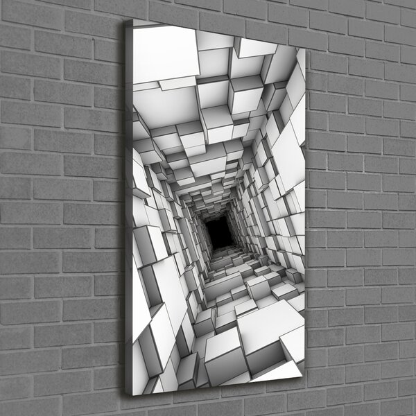 Vertikální Foto obraz na plátně Tunel z krychlí ocv-55216784