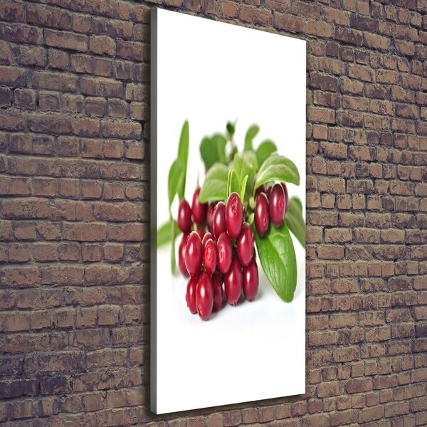Vertikální Moderní obraz canvas na rámu Borůvka ocv-55879289