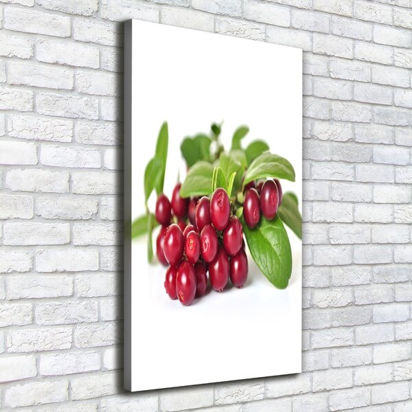 Vertikální Moderní obraz canvas na rámu Borůvka ocv-55879289