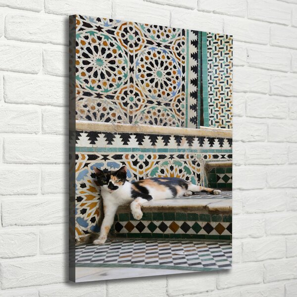 Vertikální Foto obraz canvas Kocour v Maroku ocv-56384997