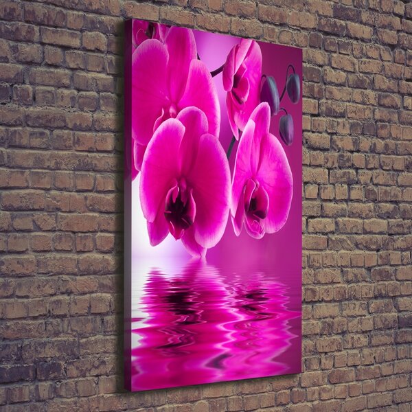 Vertikální Foto obraz na plátně Růžová orchidej ocv-58002130